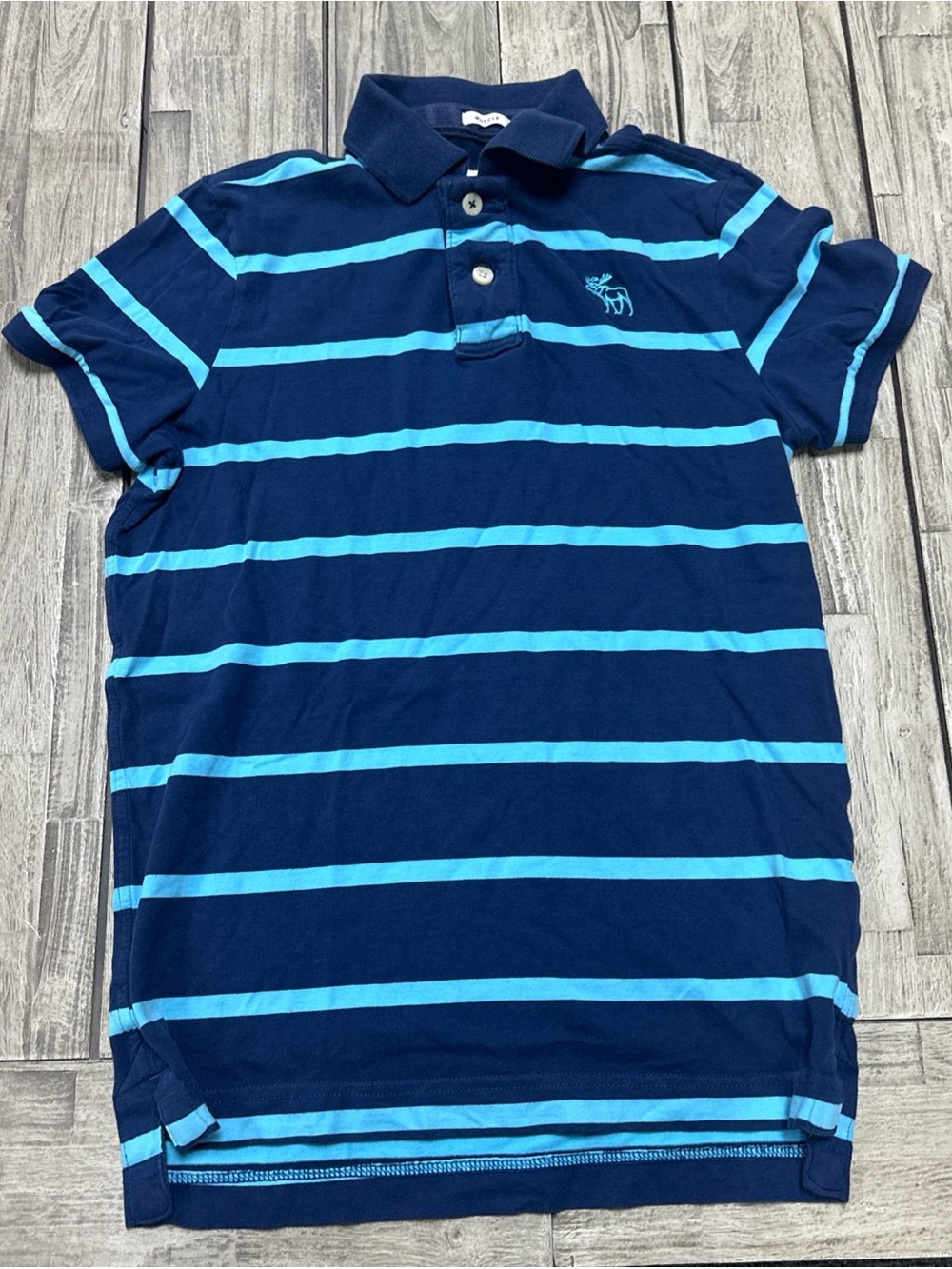 Vintage Y2K Abercrombie & Fitch Muscle Polo M Moose Blue Stripped Preppy Fall